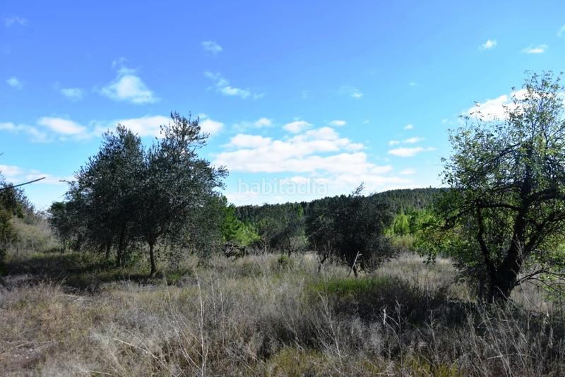 Foto 38c52aa3-03d3-43f2-89ea-7b99b21bec6a. Finca rústica a Torre del Compte