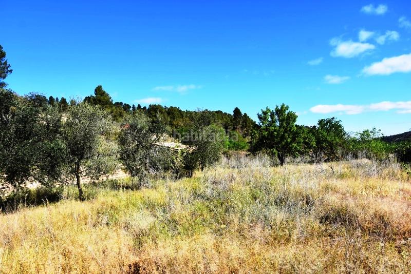 Foto aebdf1ff-8e06-4dec-a300-8767019d7800. Finca rústica a Torre del Compte