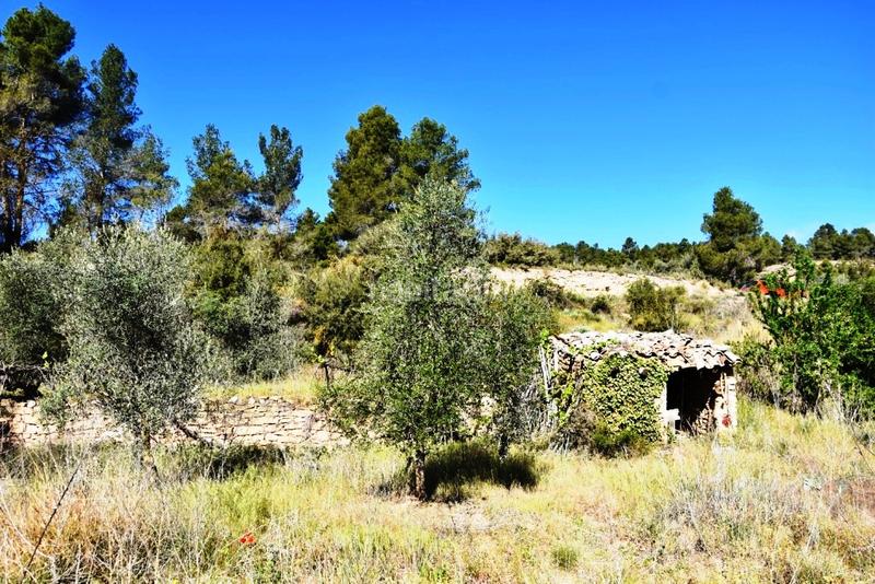 Foto ba47831b-a82b-4d25-8fbc-a72223f98198. Finca rústica a Torre del Compte