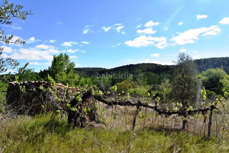 Foto cf04e4ba-5bfa-494d-b541-20936cbb45b5. Finca rústica a Torre del Compte
