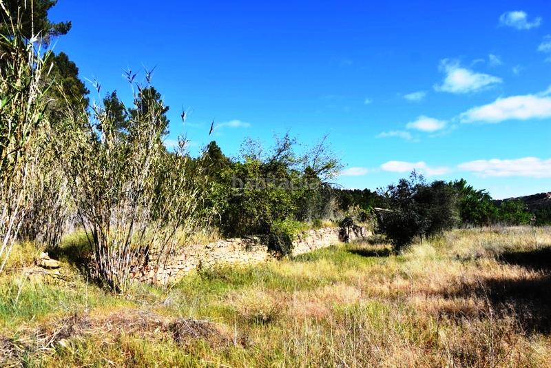 Foto f049c2ac-5134-44c2-8251-09455acc820b. Finca rústica a Torre del Compte