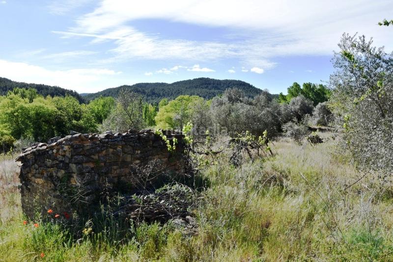 Foto fd910372-749b-4734-8d7b-d09eff58c10f. Finca rústica a Torre del Compte