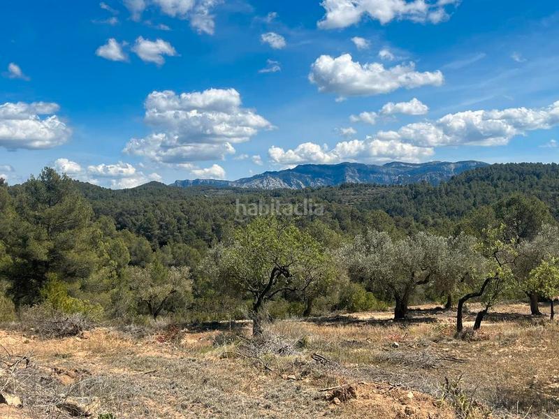 Foto 4eea0a3f-3782-4876-8888-22491eff5b7f. Finca rústica a te-24 4 a Horta de Sant Joan