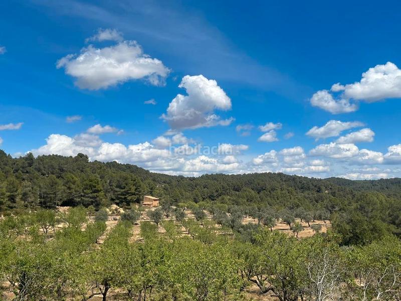 Foto 51e54a25-4212-4fab-b19a-aee7e51256a1. Finca rústica a te-24 4 a Horta de Sant Joan