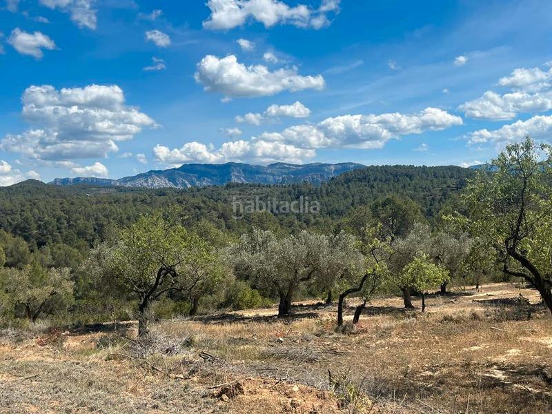 Foto 67401bc9-e82e-459b-8693-3bca6bad2240. Finca rústica a te-24 4 a Horta de Sant Joan