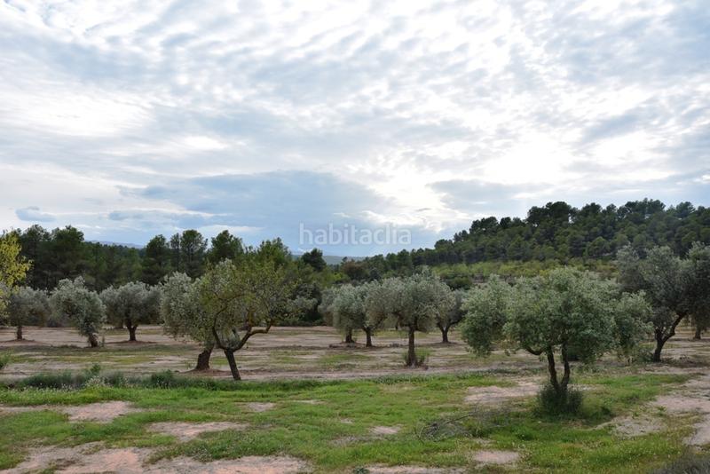 Foto 8e2a4260-d127-42b8-8971-455fe5e858d2. Finca rústica a te-24 4 a Horta de Sant Joan