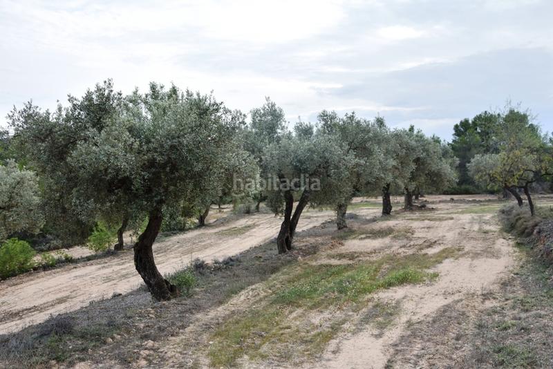 Foto b85d81fa-380f-4055-8136-8353ca461931. Finca rústica a te-24 4 a Horta de Sant Joan