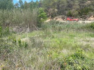 Propriété à Cretas. Pequeño huerto en calapatans