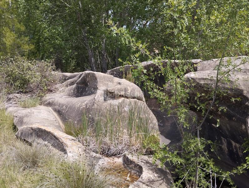 Foto 15116e1e-20cf-4d7e-b29a-621bba4c2915. Rural plot in Torre del Compte