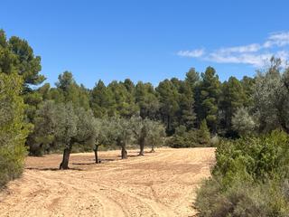 Propriété à Cretas. Finca en la montaña con privacidad