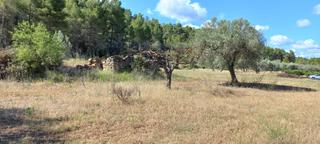 Finca rústica a Horta de Sant Joan. Finca de cereal con caseta