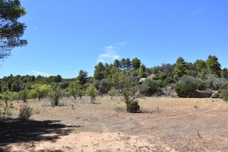 Propriété à Lledó. Finca en lledó con vistas