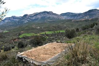 Finca rústica a Mas de la riba 1. Finca en horta de sant joan con manantial