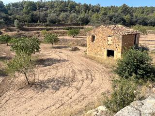 Finca rústica a N/a. Finca con pozo productivo y maset en valjunquera