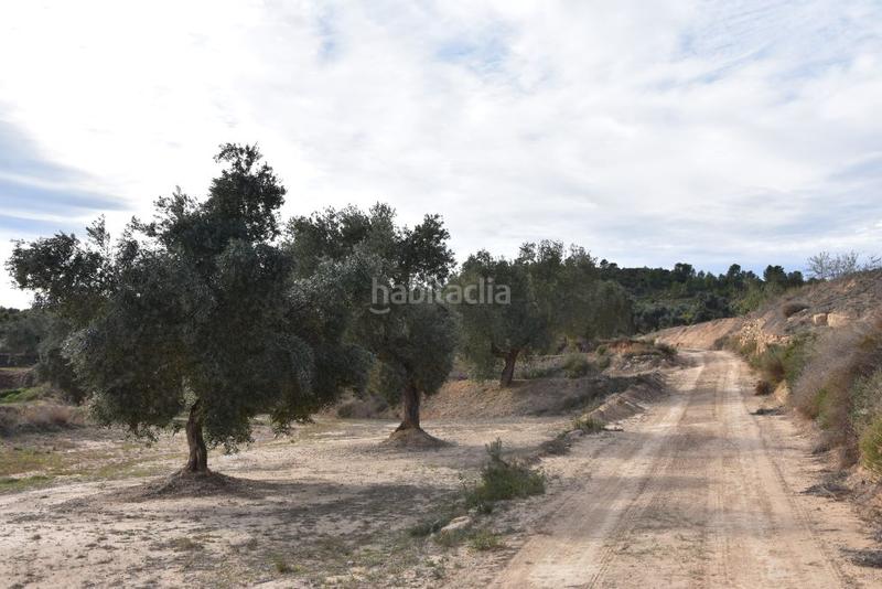 Foto a497b4df-717c-4171-bca0-1b5ab6d0d40c. Finca rústica en calle mayor 14 finca rústica en Calaceite