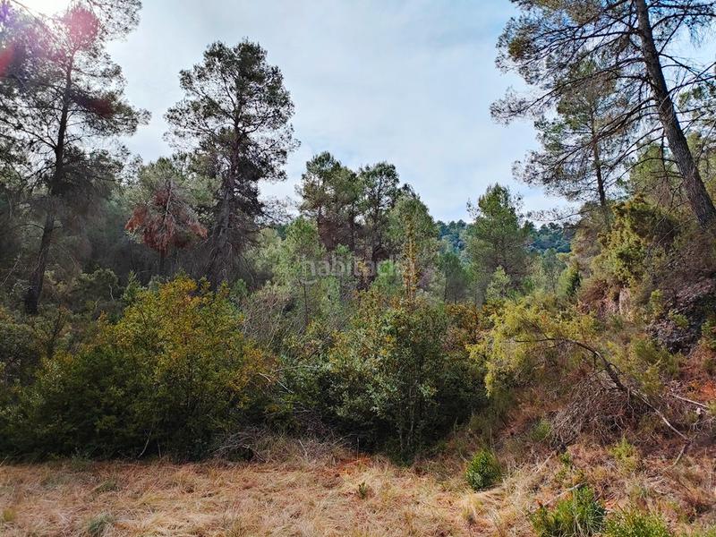 Foto 43f57140-f464-49c1-850b-8d036359de09. Finca rústica a Valderrobres