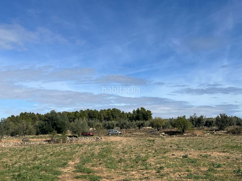 Foto 0361843b-ab23-434c-9863-1cc04ee4692e. Finca rústica a n/a a Valderrobres