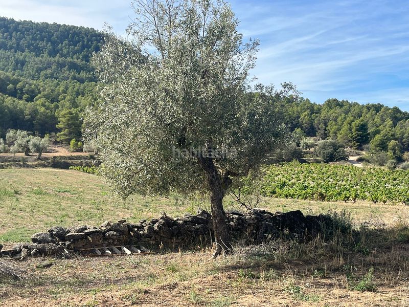 Foto 052d6a14-19aa-4a13-b624-dabf24820ca0. Finca rústica a n/a a Valderrobres