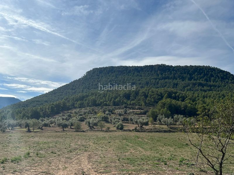 Foto 070bcf32-26d9-4da1-bba9-540f7551eeae. Finca rústica a n/a a Valderrobres