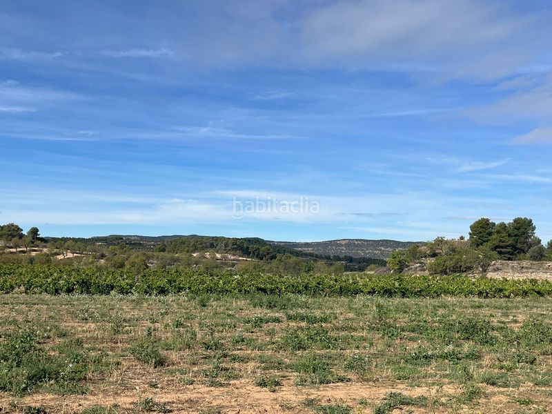Foto b0437e08-5abf-47b7-93f5-34d054b7f8a5. Finca rústica a n/a a Valderrobres