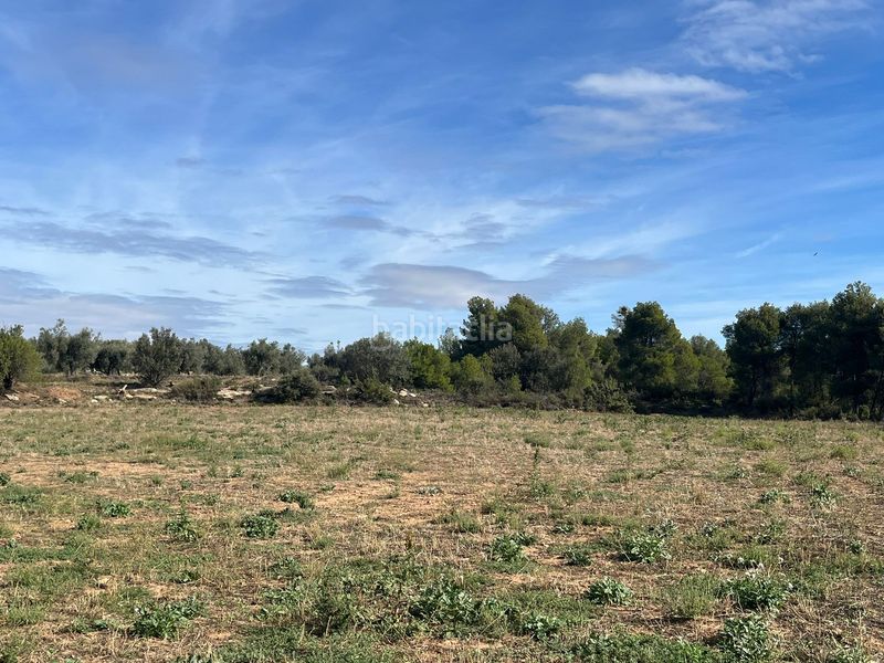 Foto b4a7edc7-c7e1-474f-9a81-481ae1282eb4. Finca rústica a n/a a Valderrobres