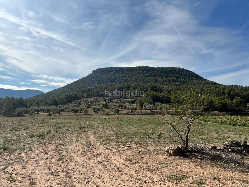 Foto e697a73c-f453-4079-ac31-ebd980504555. Finca rústica a n/a a Valderrobres