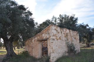 Finca rústica a N/a. Finca rústica con maset a rehabilitar y olivos