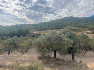 Finca rústica a N/a. Finca en horta de sant joan