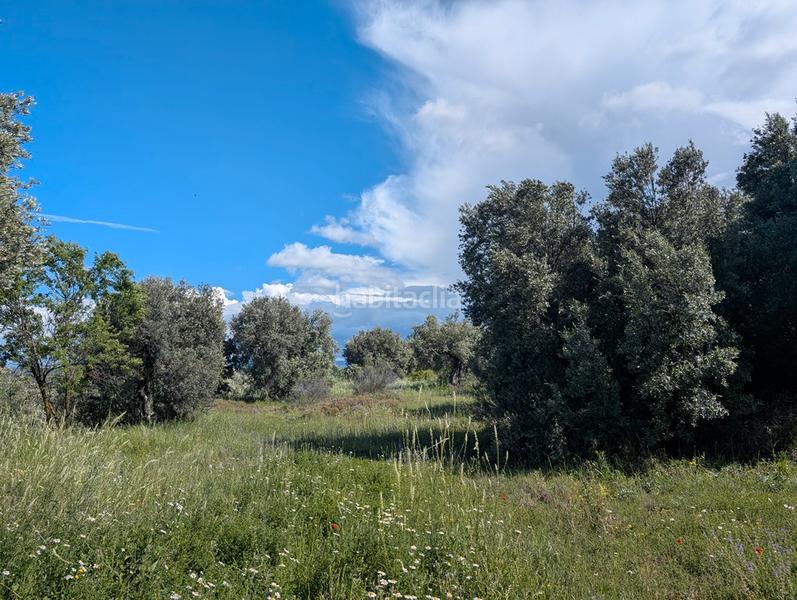Foto 67d95624-dd17-42da-a6ca-126853be157a. Finca rústica a avenida virgen de gracia 17b a Fresneda (La)