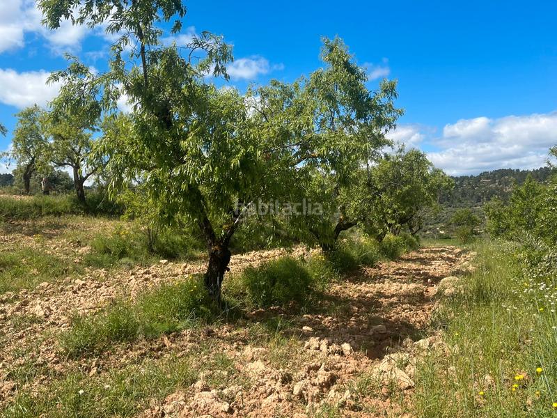 Foto 498adf81-f614-468d-8826-64a5d139439c. Finca rústica a Fresneda (La)
