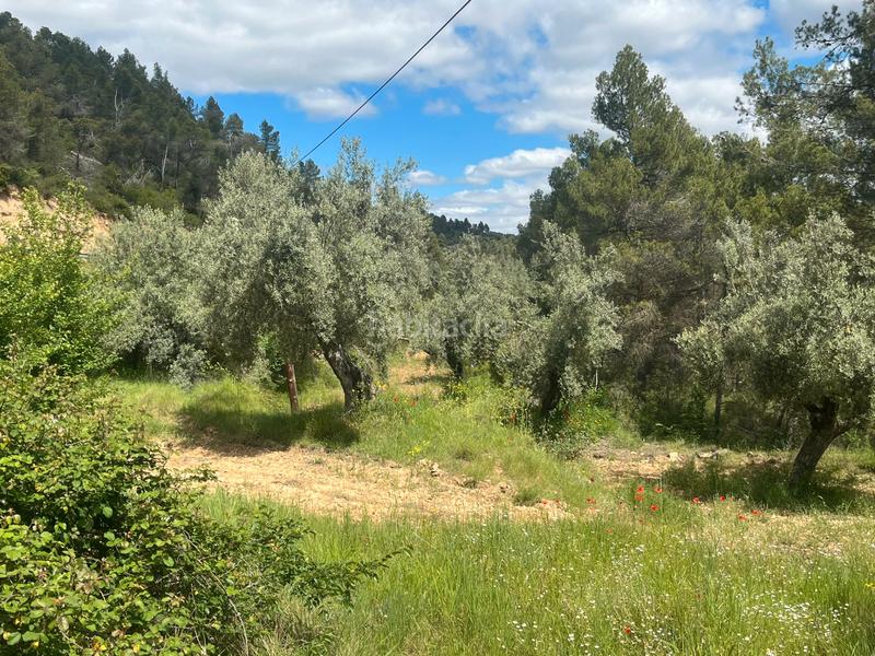 Foto 5c6aeb42-9ba4-481a-992b-ede4266c756f. Finca rústica a Fresneda (La)