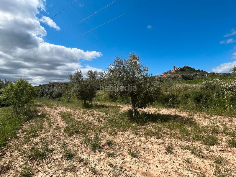 Foto 5ba78a7a-40ca-474d-b52f-9c50a05fd502. Finca rústica a n/a a Fresneda (La)