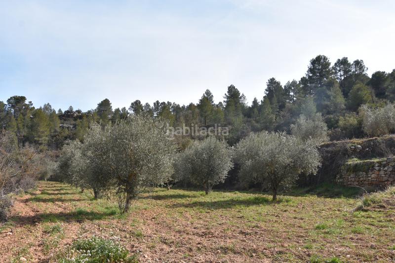 Foto 44fc7d4e-2e17-4c8e-be46-785142820d41. Finca rústica a n/a a Fresneda (La)