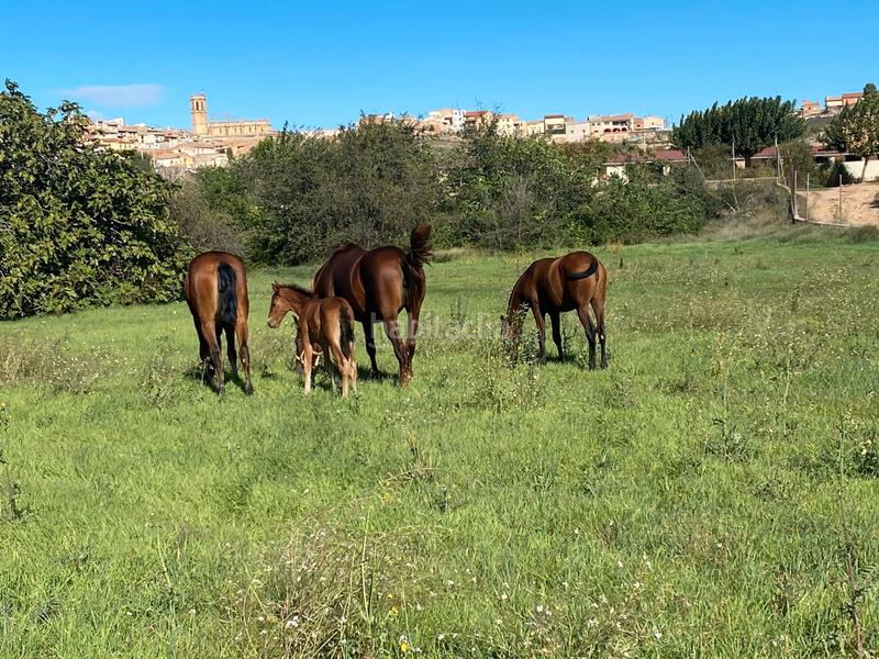 Foto fdc83603-098d-41c5-9728-2671e551173a. Finca rústica a Cretas