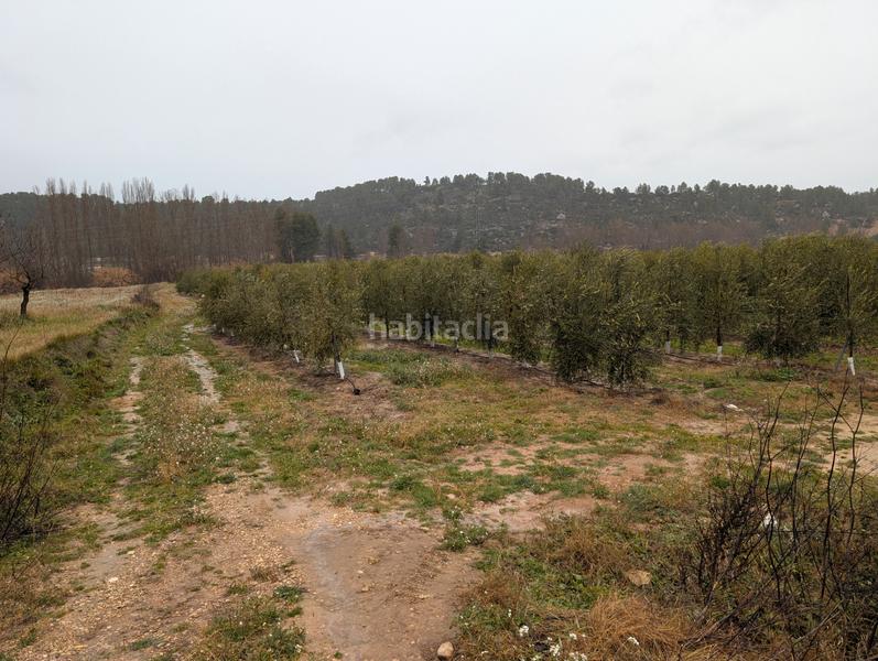 Foto 100ca65c-21bc-4095-a52f-7f8e01e125c2. Rural plot in Torre del Compte