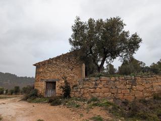 Finca rústica a Torre del Compte. Finca rústica con maset en torre del compte