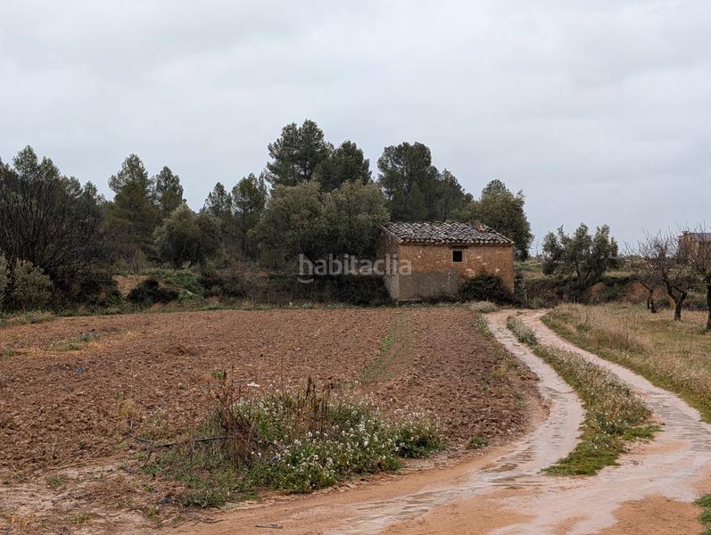 Foto 7ea07c3a-df79-41f7-a0a0-fd2bb6241a79. Rural plot in Torre del Compte