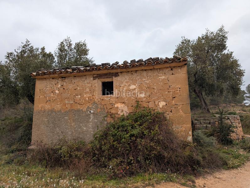Foto c85cc623-05a2-4a5a-aad5-2d15874e484b. Rural plot in Torre del Compte