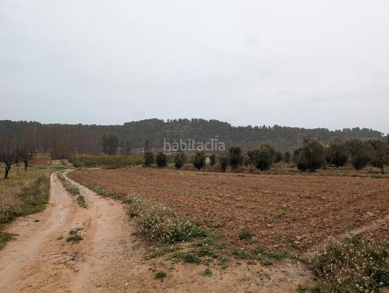 Foto e4969197-26ce-48a9-820b-e5bfdf4c3a23. Rural plot in Torre del Compte