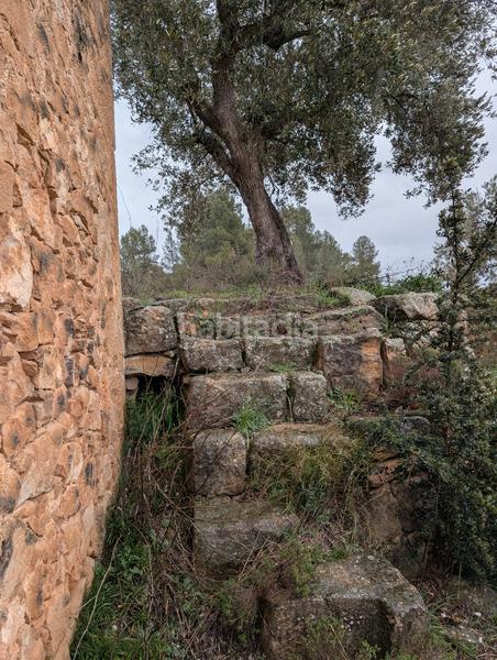 Foto febbabcd-5a99-4b52-804f-741c87936ff5. Rural plot in Torre del Compte