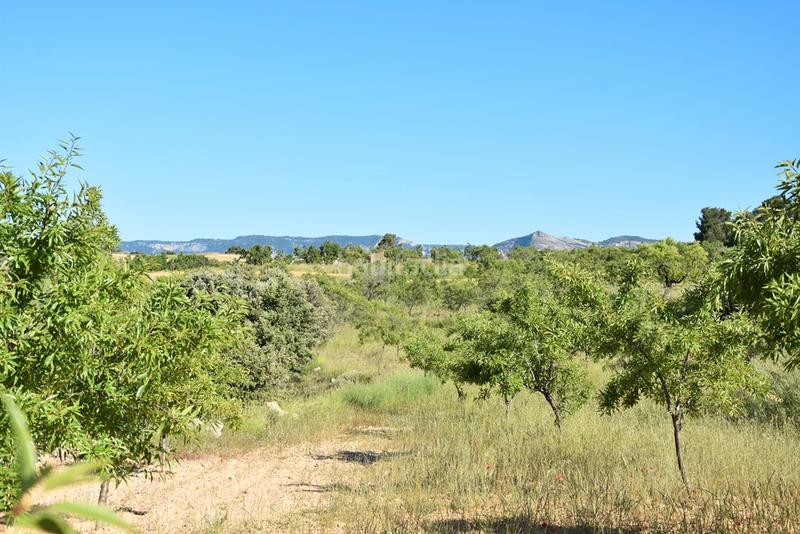 Foto a616fdf0-48c7-43b0-84c1-f3d148d6ef06. Finca rústica a Valderrobres