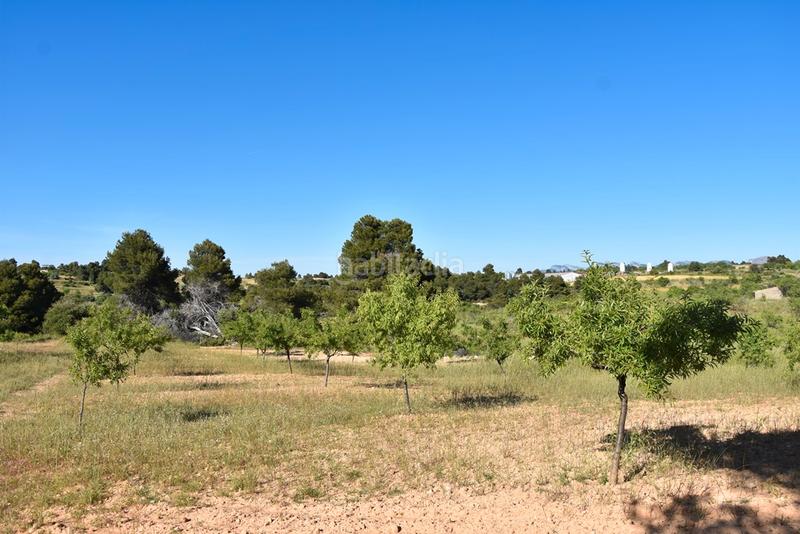 Foto bf92f61e-5ef8-41da-8537-4ab61c717f59. Finca rústica a Valderrobres