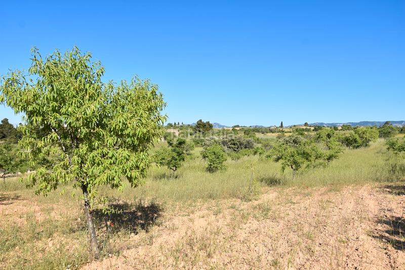 Foto c3db4465-ad7a-44a2-9217-5a0f851f305f. Finca rústica a Valderrobres