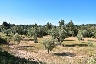 Propriété à Cretas. Finca rústica en cretas
