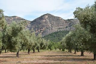 Finca rústica a Horta de Sant Joan. Finca rústica en horta de sant joan