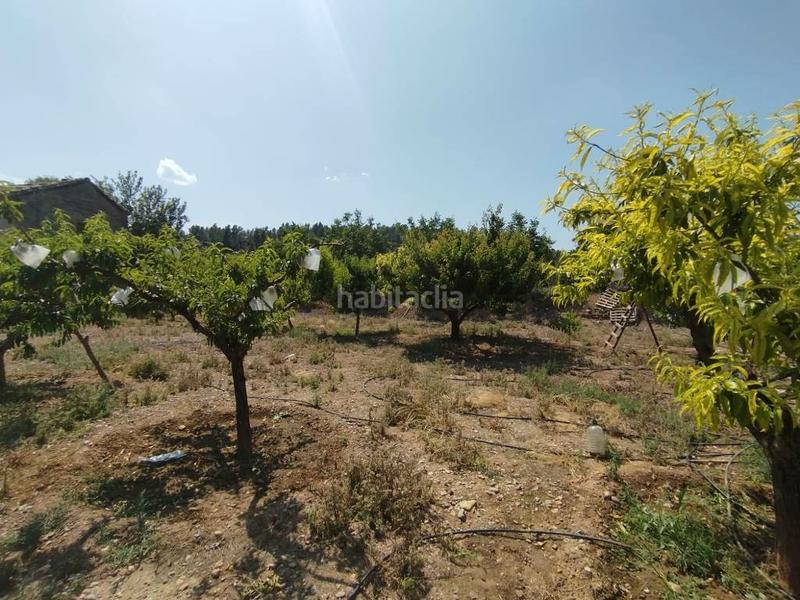 Foto 7a8a5236-d24f-45a5-8e53-5d0e3d72ac83. Finca rústica a Fresneda (La)
