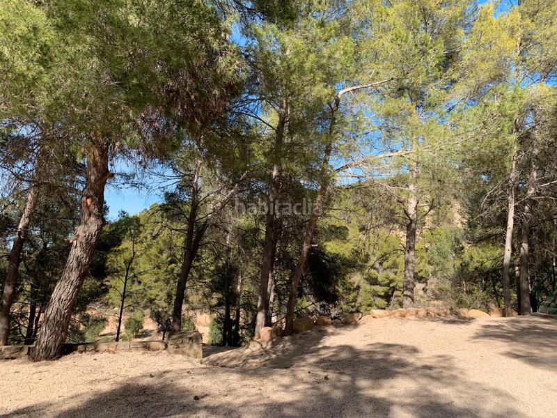 Foto 5104a64e-0e59-4308-916d-84888f1761de. Rural plot in Torre del Compte