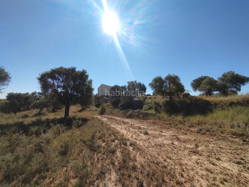 Foto 492977b7-7976-40c2-b240-2bd9dcfdc489. Finca rústica a Calaceite