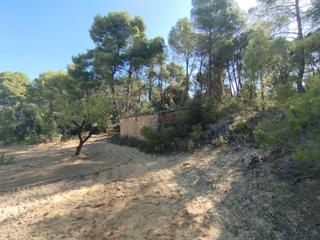 Rural plot in Valderrobres. Finca rústica con maset en valderrobres