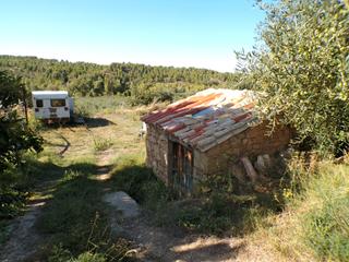 Rural plot in Torre del Compte. Finca rústica con maset en torre del compte